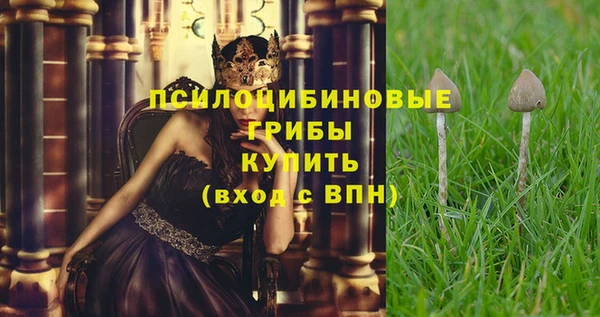 мет Осташков