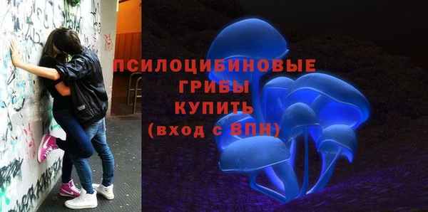 мет Осташков