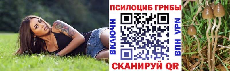 Галлюциногенные грибы Psilocybine cubensis  Белёв 